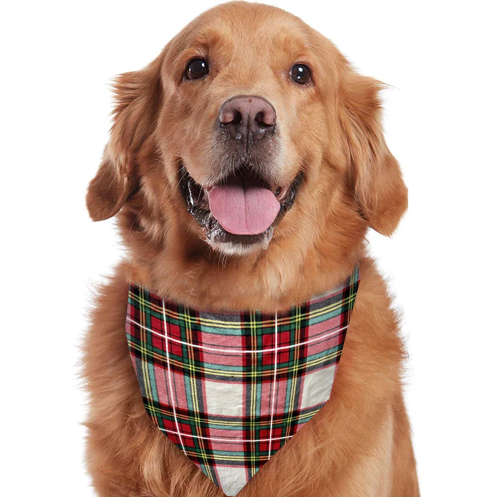 Family wearing matching red and cream tartan Christmas pyjamas with red ribbed cuffs - view 6