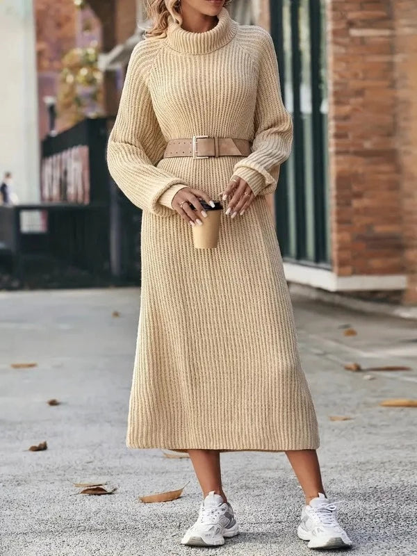 Ribbed roll neck midi jumper dress with long raglan sleeves - view 2