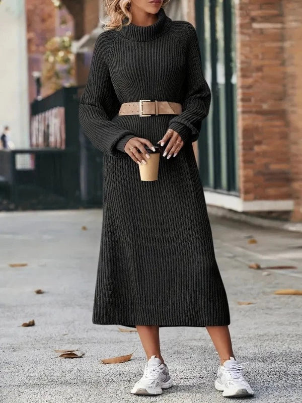 Ribbed roll neck midi jumper dress with long raglan sleeves - view 3