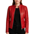Leather Jacket Womens Quilted Cafe Racer Snap Collar Zip Front